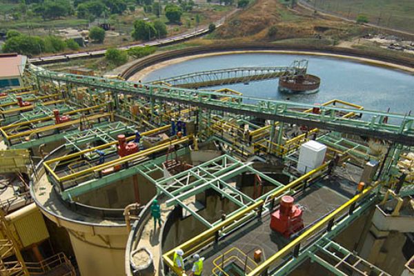 erg-plant-04-lAC246E74-386F-E998-1DFD-DE314A18AC81.jpg